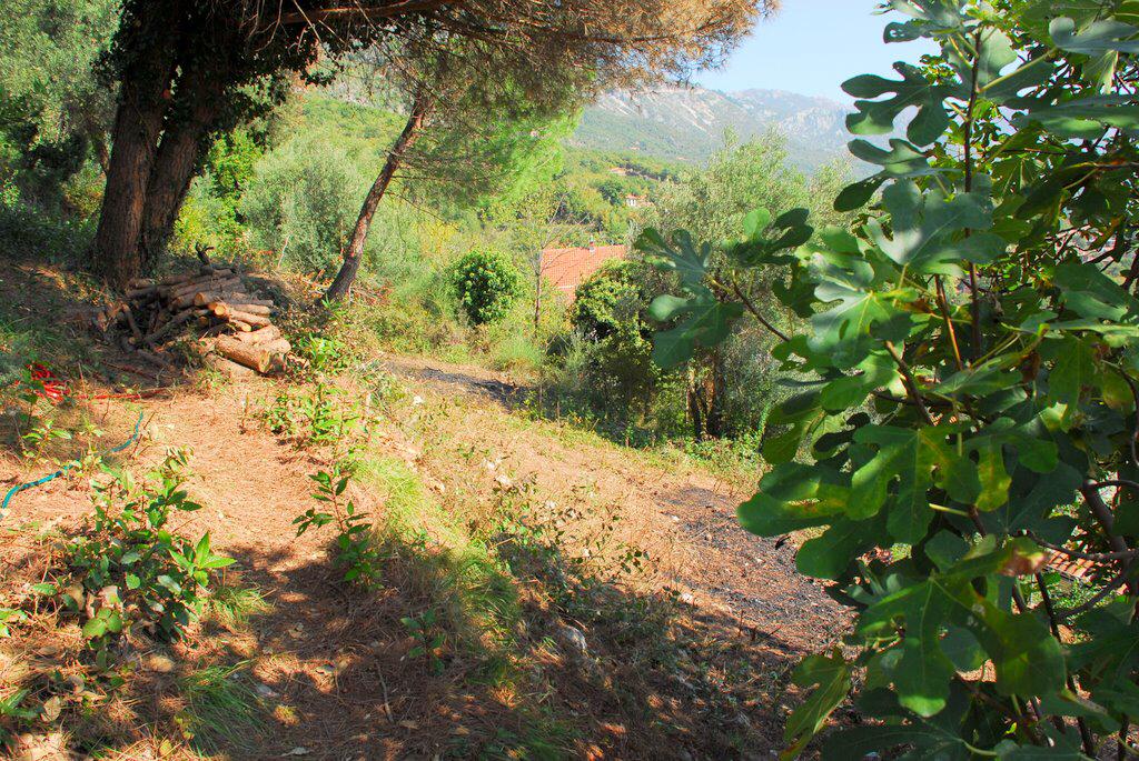 Image of Plot for Sale in Budva-Markovici-Montenegro, Image 2